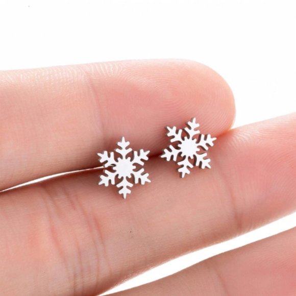 π50% OFF/3+...Snowflake Stud Earrings (Silver tone) - Picture 4 of 5